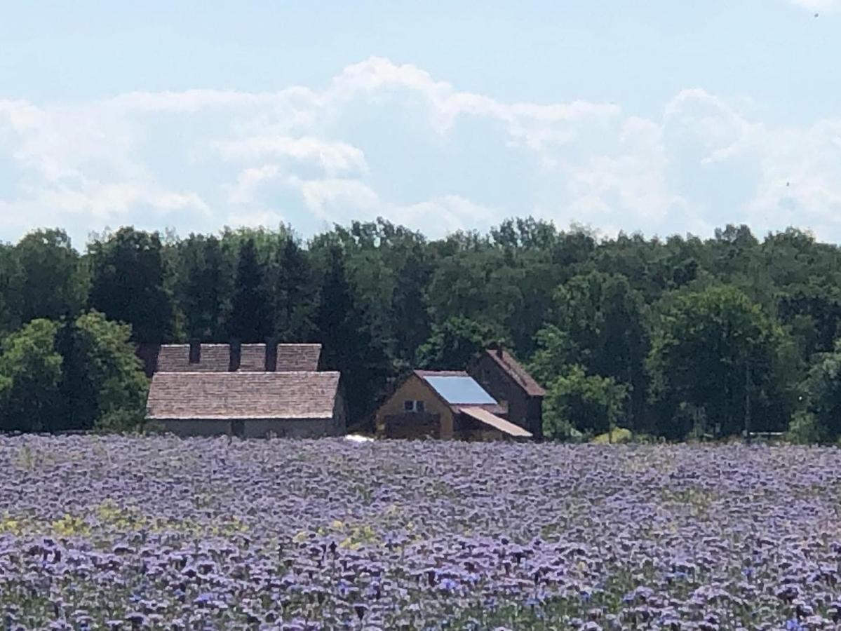 Ferienhof Olbasee Kleinsaubernitz Extérieur photo